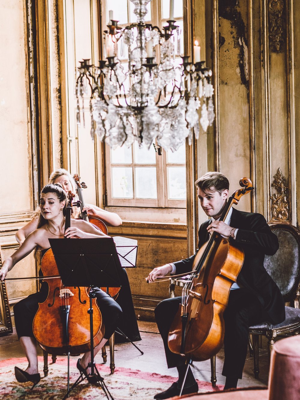 Cellists in the salon